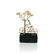 صورة Male Biker